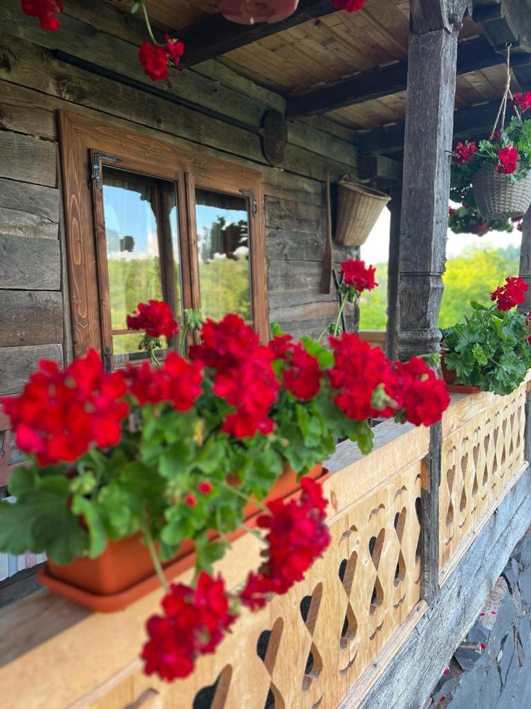 Casa Veche Breb Hotel Kültér fotó